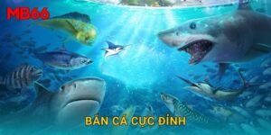 Bắn cá cực đỉnh hấp dẫn tại Mb66 cho người chơi mới