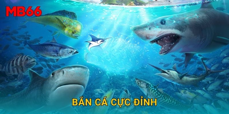 Bắn cá cực đỉnh hấp dẫn tại Mb66 cho người chơi mới 1 Bắn cá cực đỉnh hấp dẫn tại Mb66 cho người chơi mới