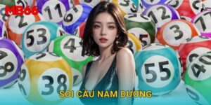 Soi cầu nam dương chuẩn xác tại Mb66 cho hội viên